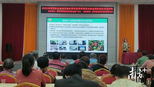 專家支招助力產業發展，茂南舉辦荔枝產業技術培訓班